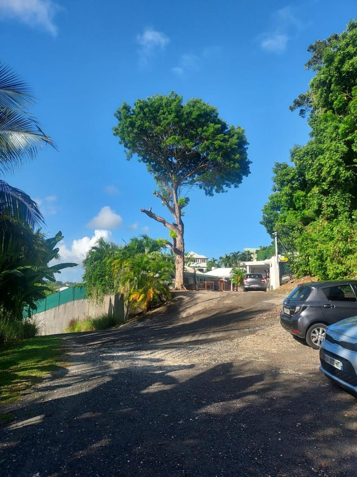 Location Dampierre Apartment Le Gosier  Exterior foto